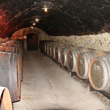 La Chartre-sur-le-Loir Chambres D'Hotes - Domaine Gigou المظهر الخارجي الصورة
