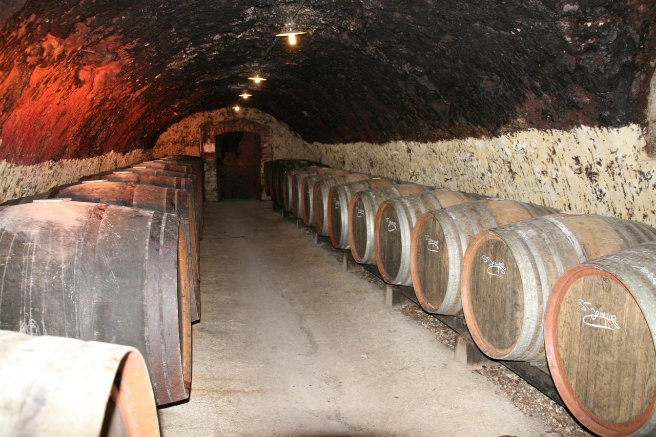 La Chartre-sur-le-Loir Chambres D'Hotes - Domaine Gigou المظهر الخارجي الصورة